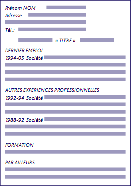 type cv professionnel